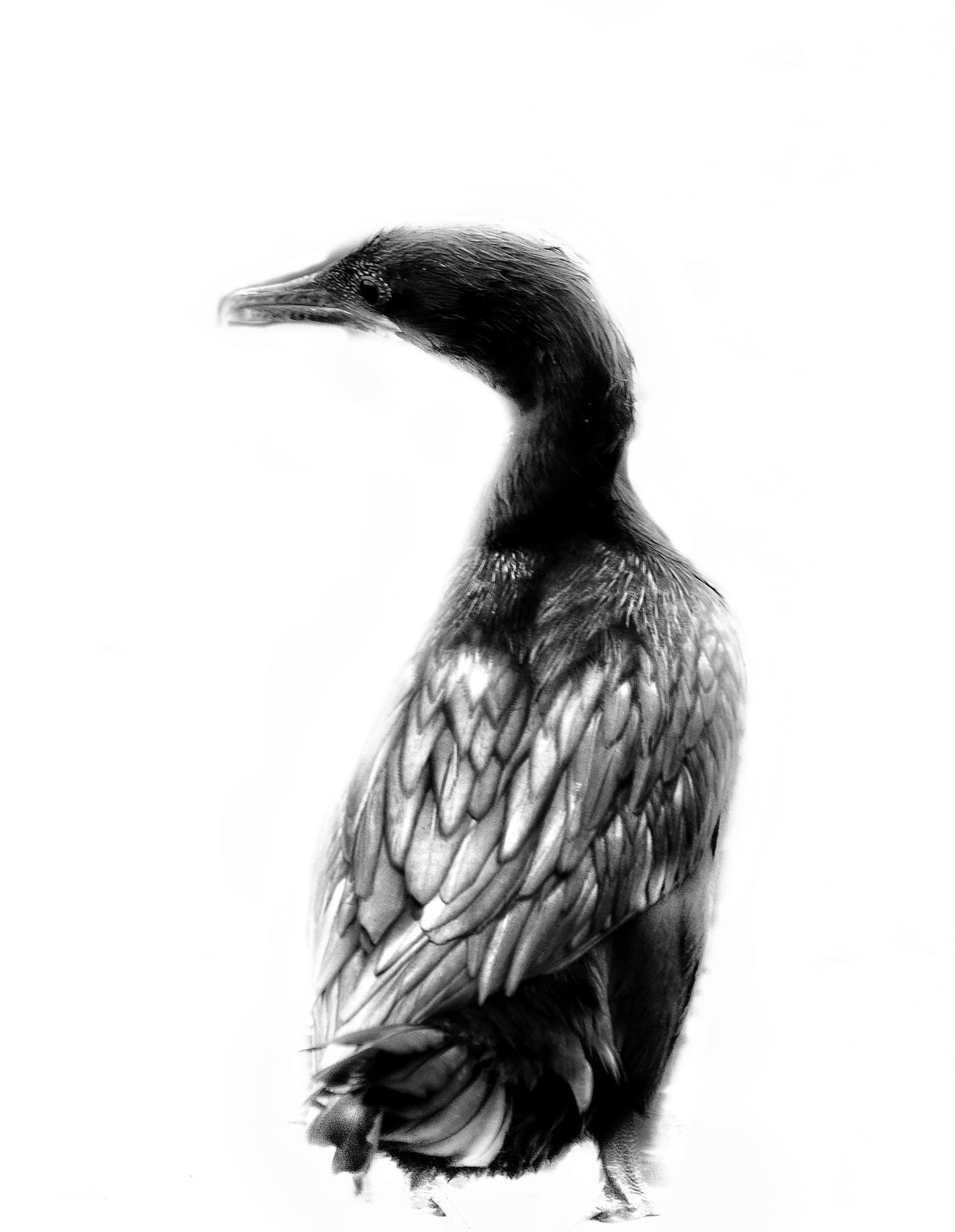 7488252c-9e2e-41e7-9085-dbef72e255c5_rw_1920