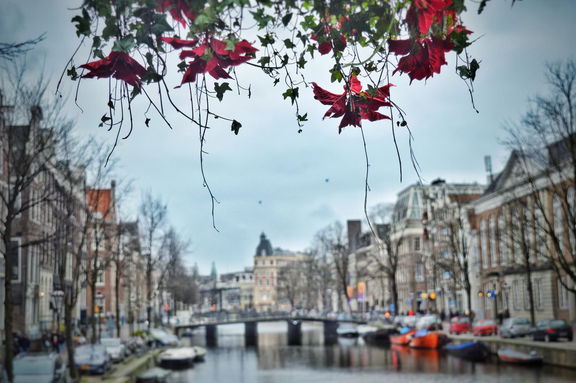 58a5e21c-c2d6-4217-b4d5-0157950e1cfa_rw_3840