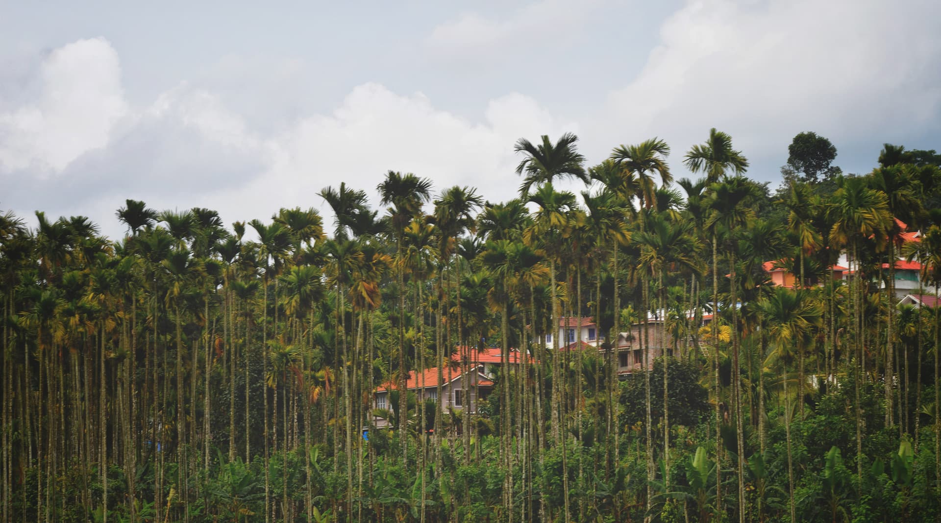 08dd89f3-e7c2-413e-83fb-f46a38f8976d_rw_3840