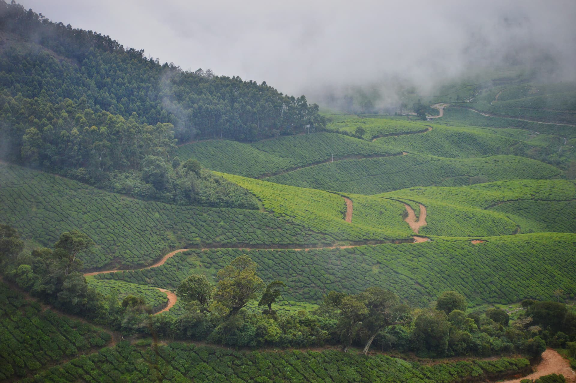 2ace7bf1-7ed5-46bf-9df7-b135ec240582_rw_3840