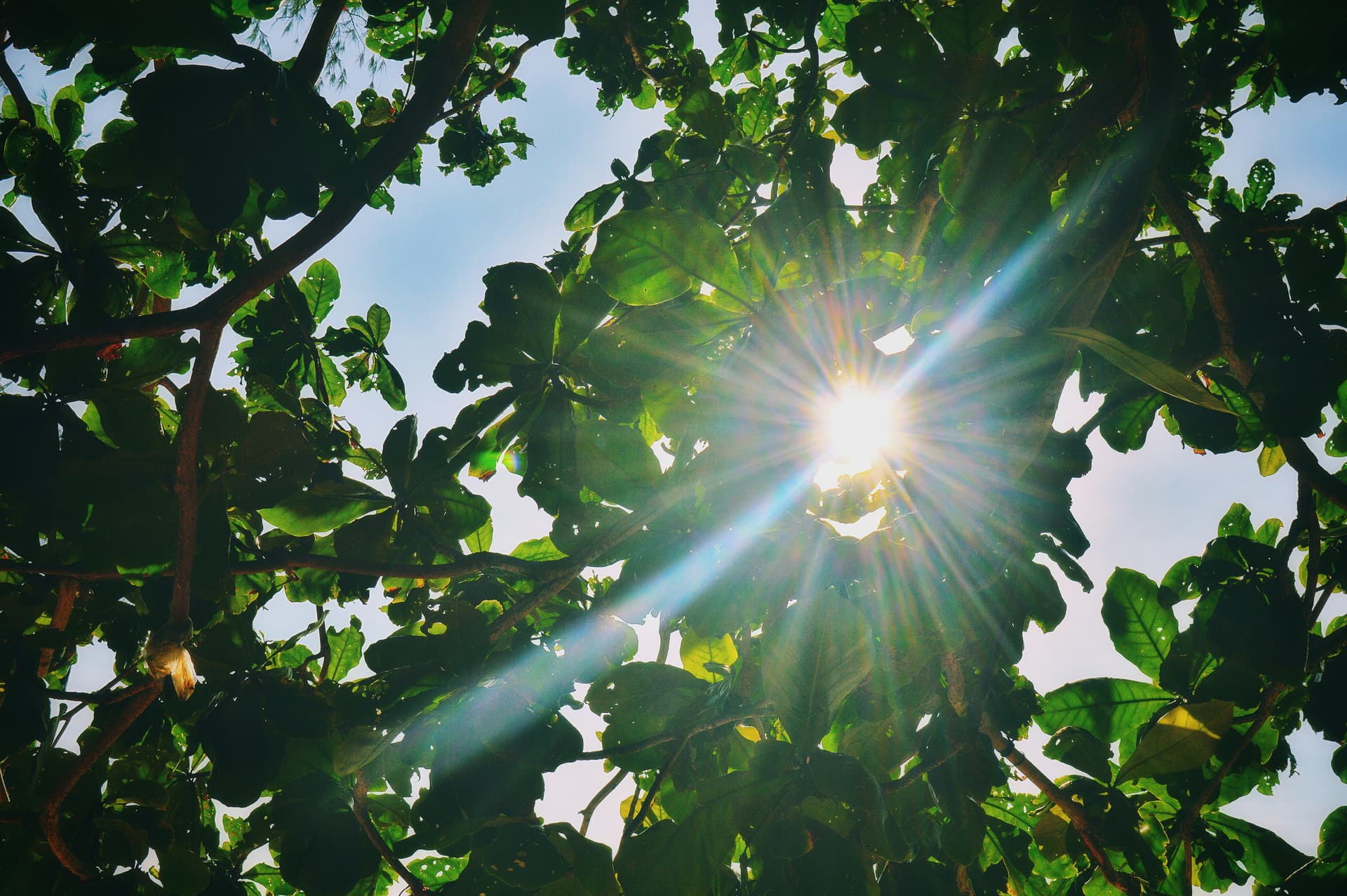 3540b519-f32b-4d3b-931b-73638ff4a47c_rw_3840