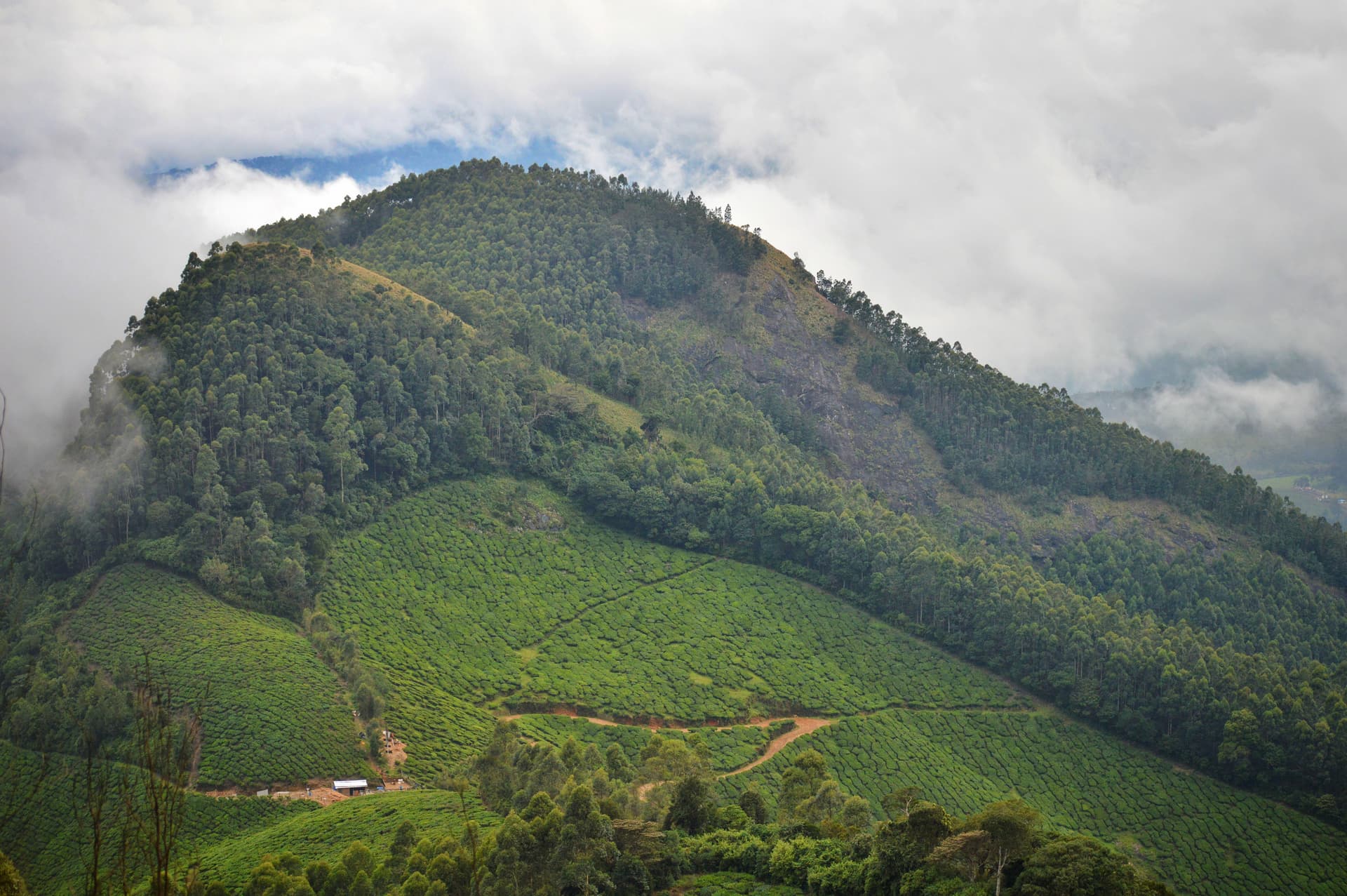 359ee778-d6ea-42b3-b1f0-d59a32b20ae2_rw_3840