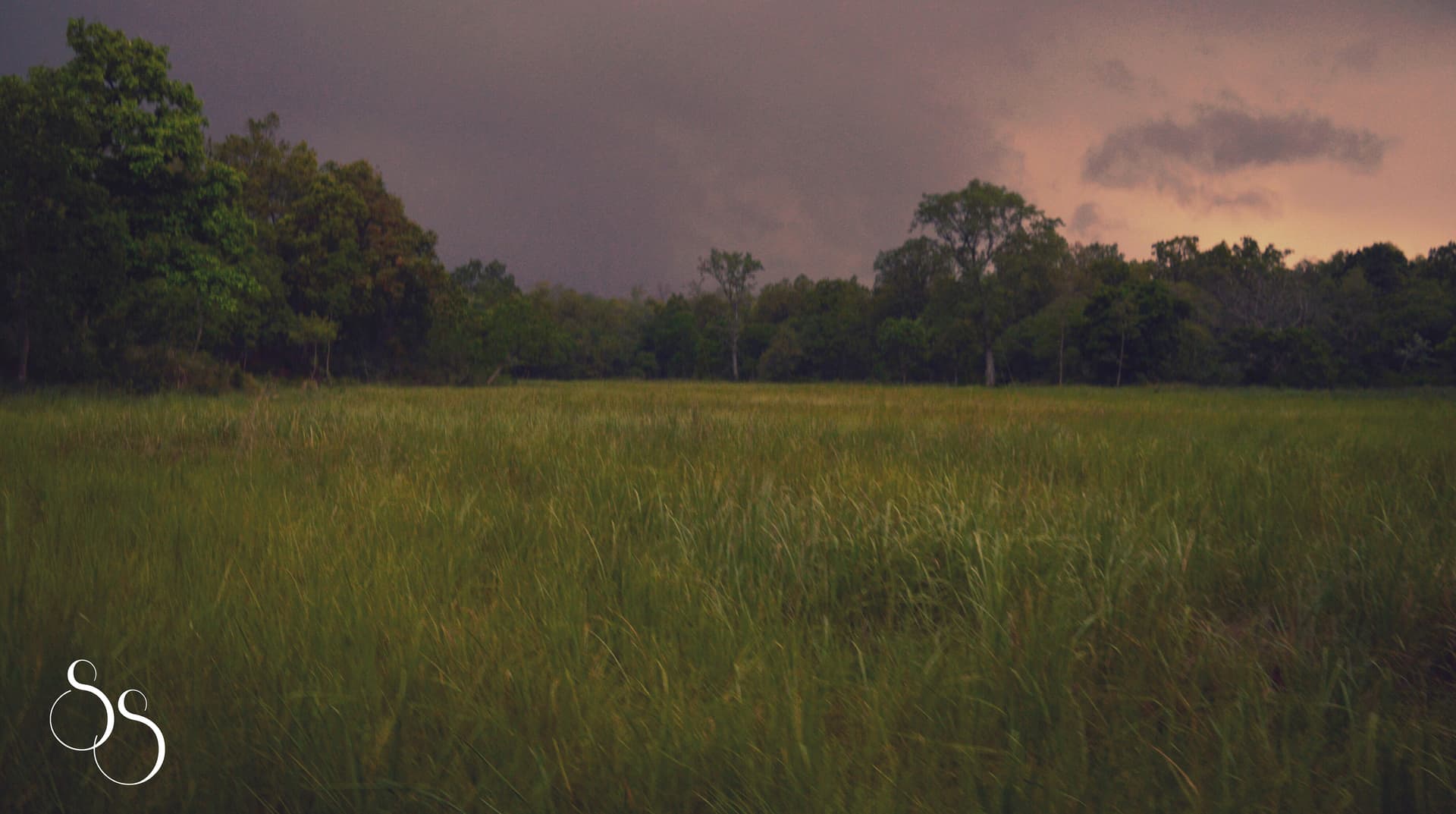 505e3886-fcaf-47b4-969e-7a630b3628ea_rw_3840