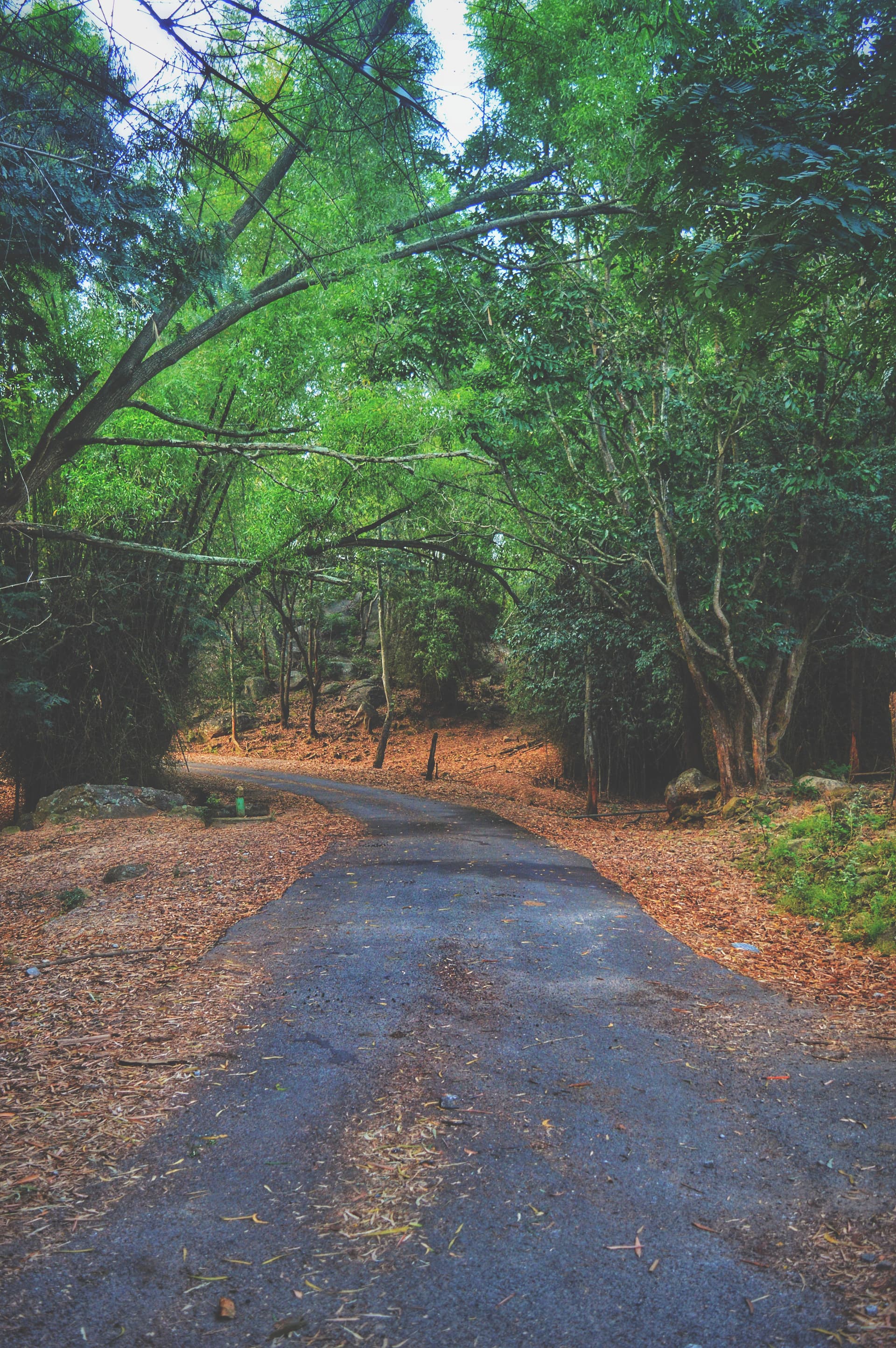 6aa1c484-ab62-4496-8a08-ad004fd5522f_rw_3840