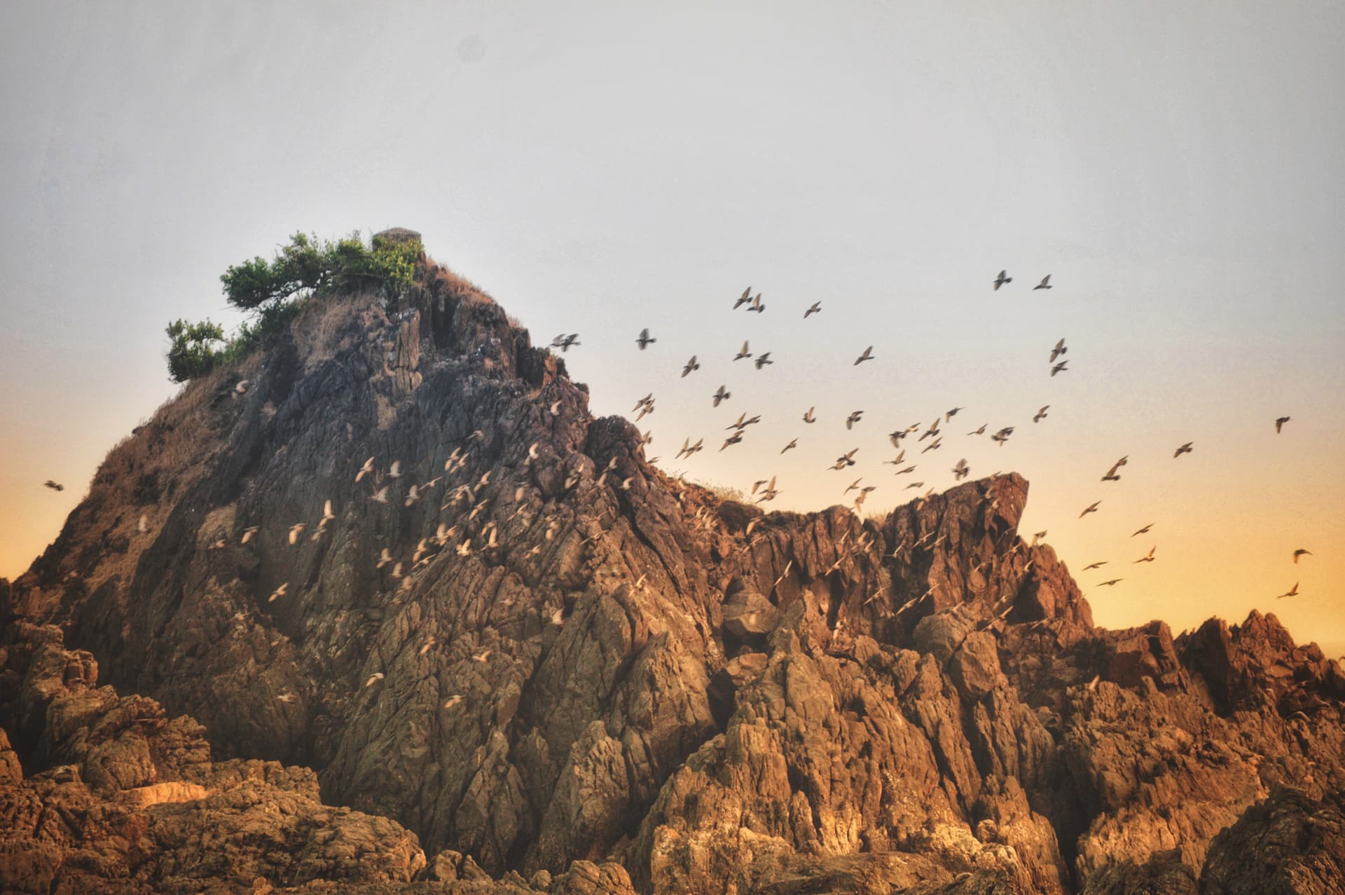 87378273-a232-4029-b86c-fc982e6f9d0e_rw_3840