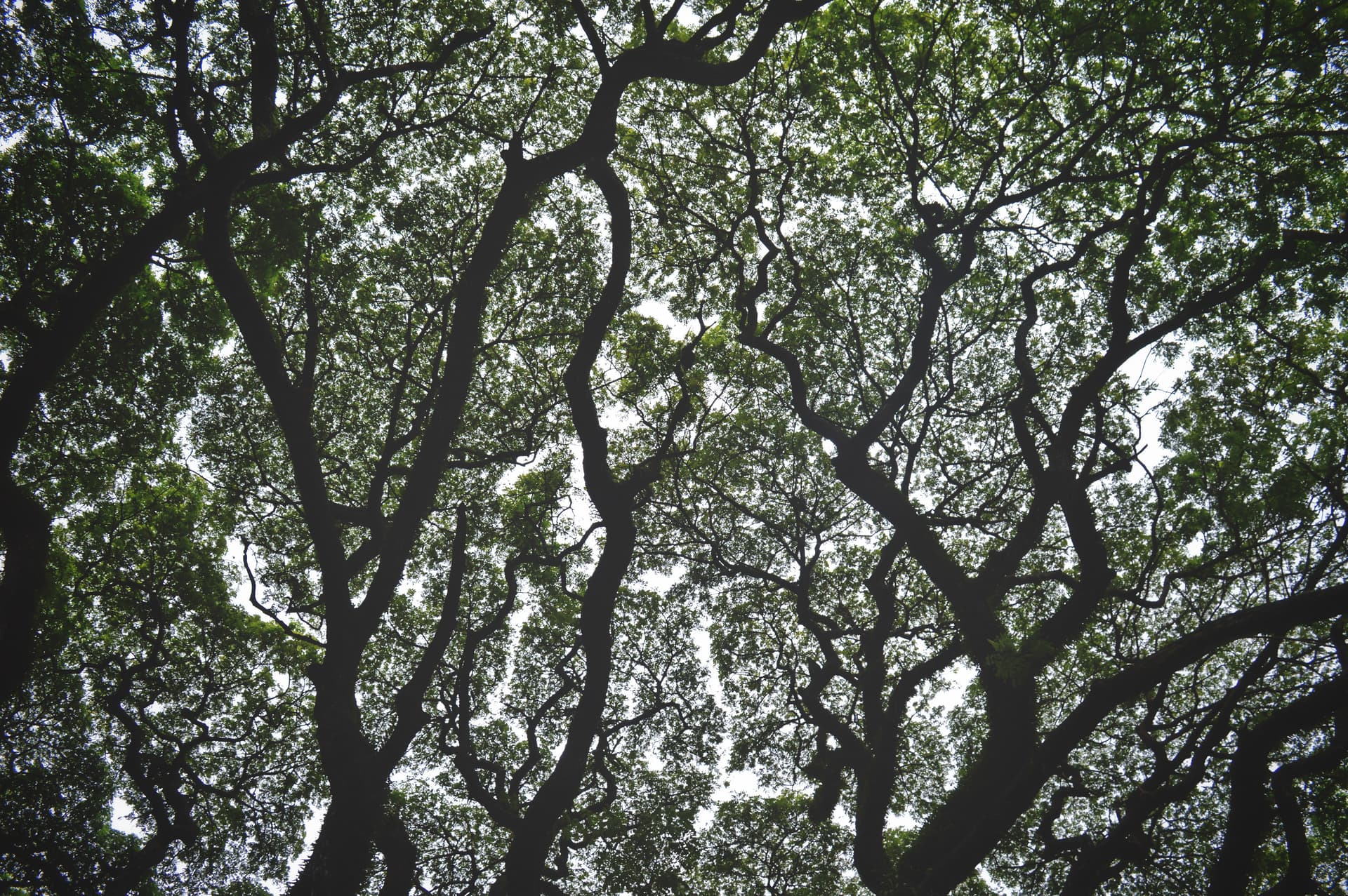 98db94ab-497b-451f-98d0-65222249492a_rw_3840