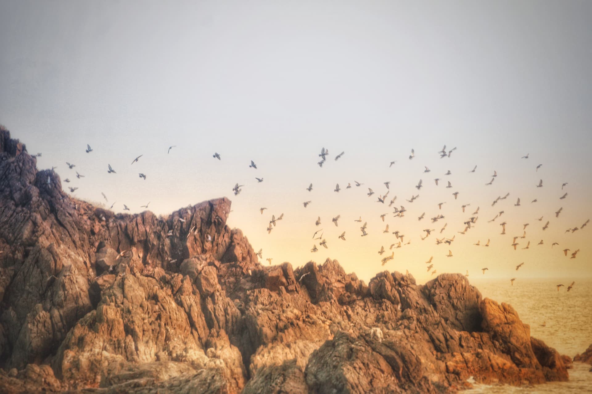 a4316d69-2e3d-4be5-8081-a64b711d52e2_rw_3840