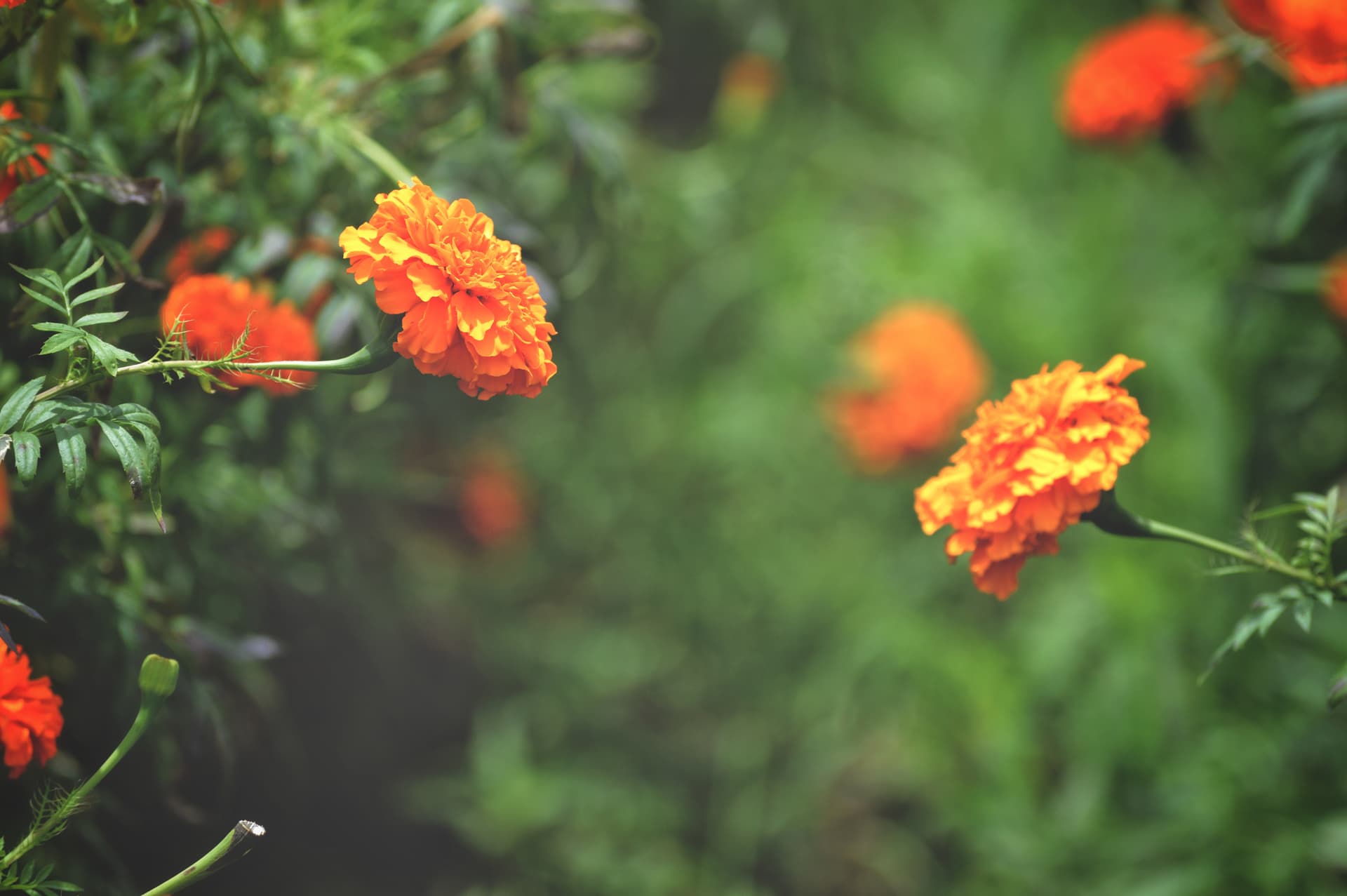 089c33a2-790d-41b8-8dbb-611e846e85fd_rw_3840