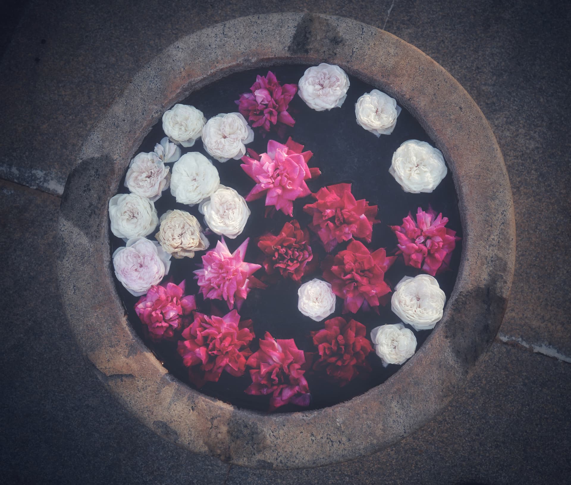 2024f641-8f48-4236-83bf-a0b14107dfb2_rw_3840