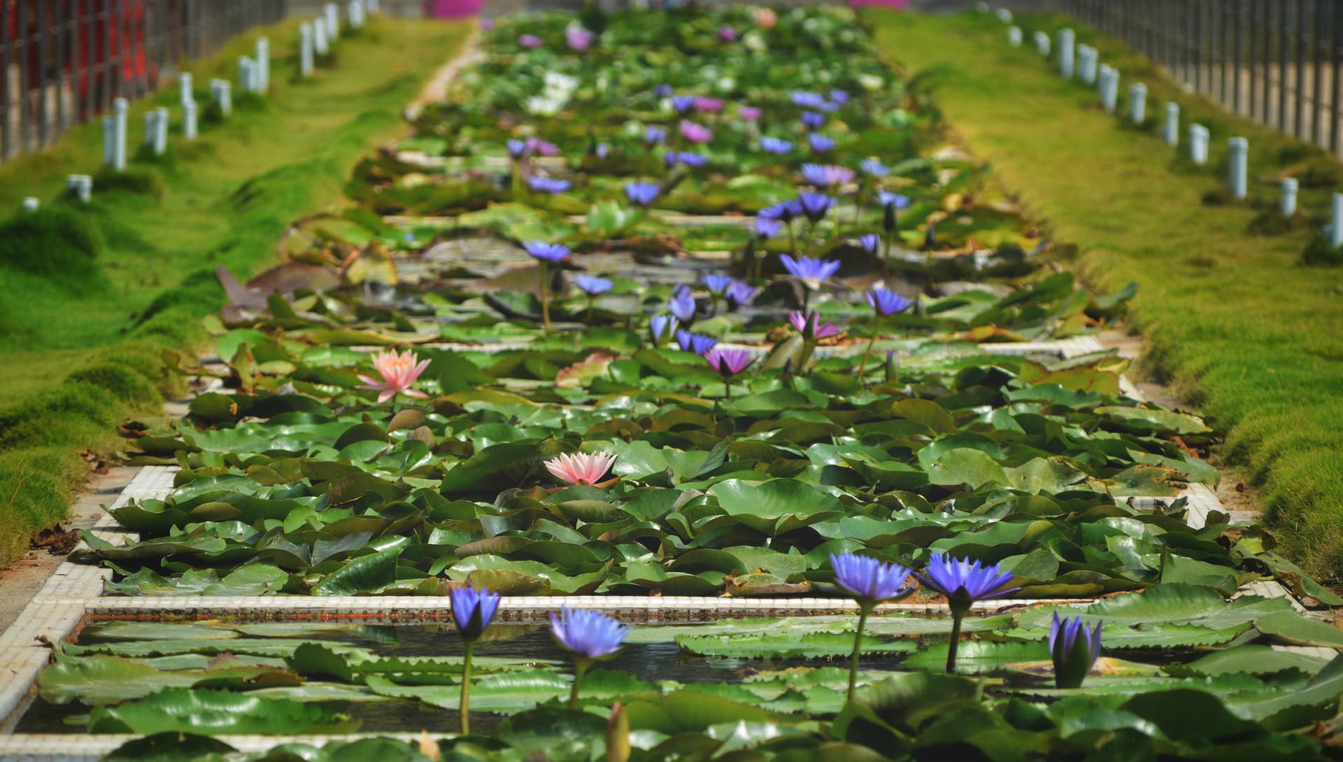 23db3372-f2e5-40bf-ae8e-2249ab7f2499_rw_3840