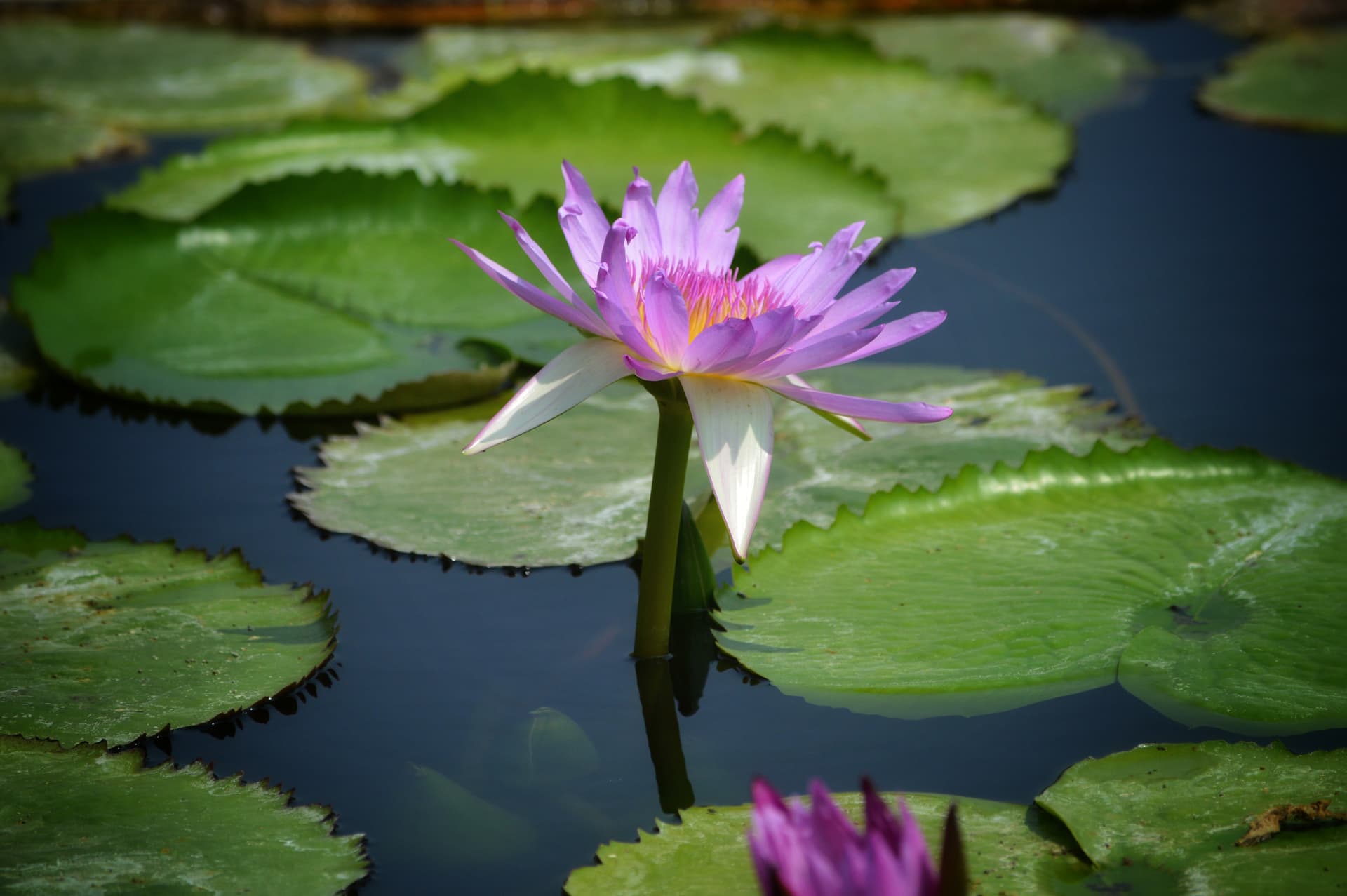 47f56f2e-5dff-44b5-baa7-bb4491c0ac66_rw_3840