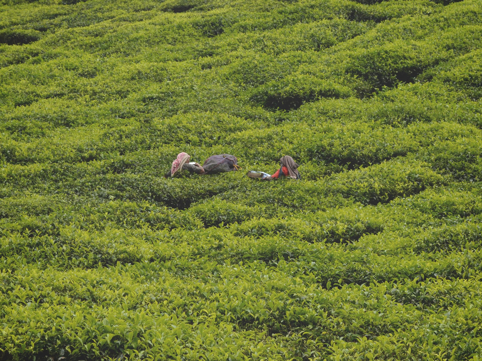 60bf5bea-d218-4a7a-bb18-826c6b25c8bf_carw_4x3x5120