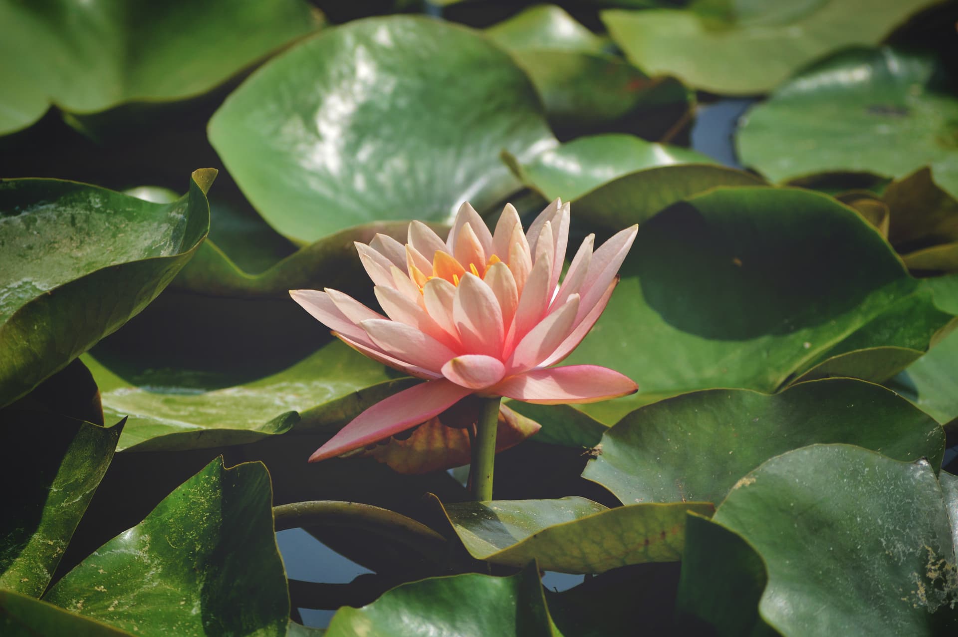 631fe63c-c97c-4725-bb61-94eb7bdab477_rw_3840