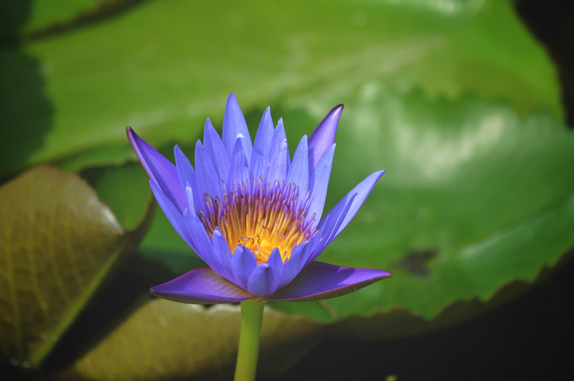 8eaadac5-54b1-454c-a561-dd68a6143338_rw_3840