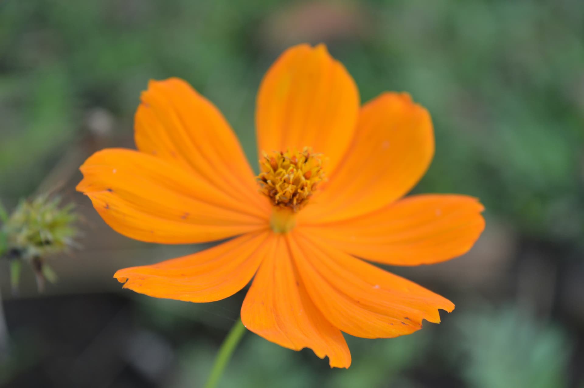 97fd7213-5989-4502-9486-a2b05a90cca2_rw_3840