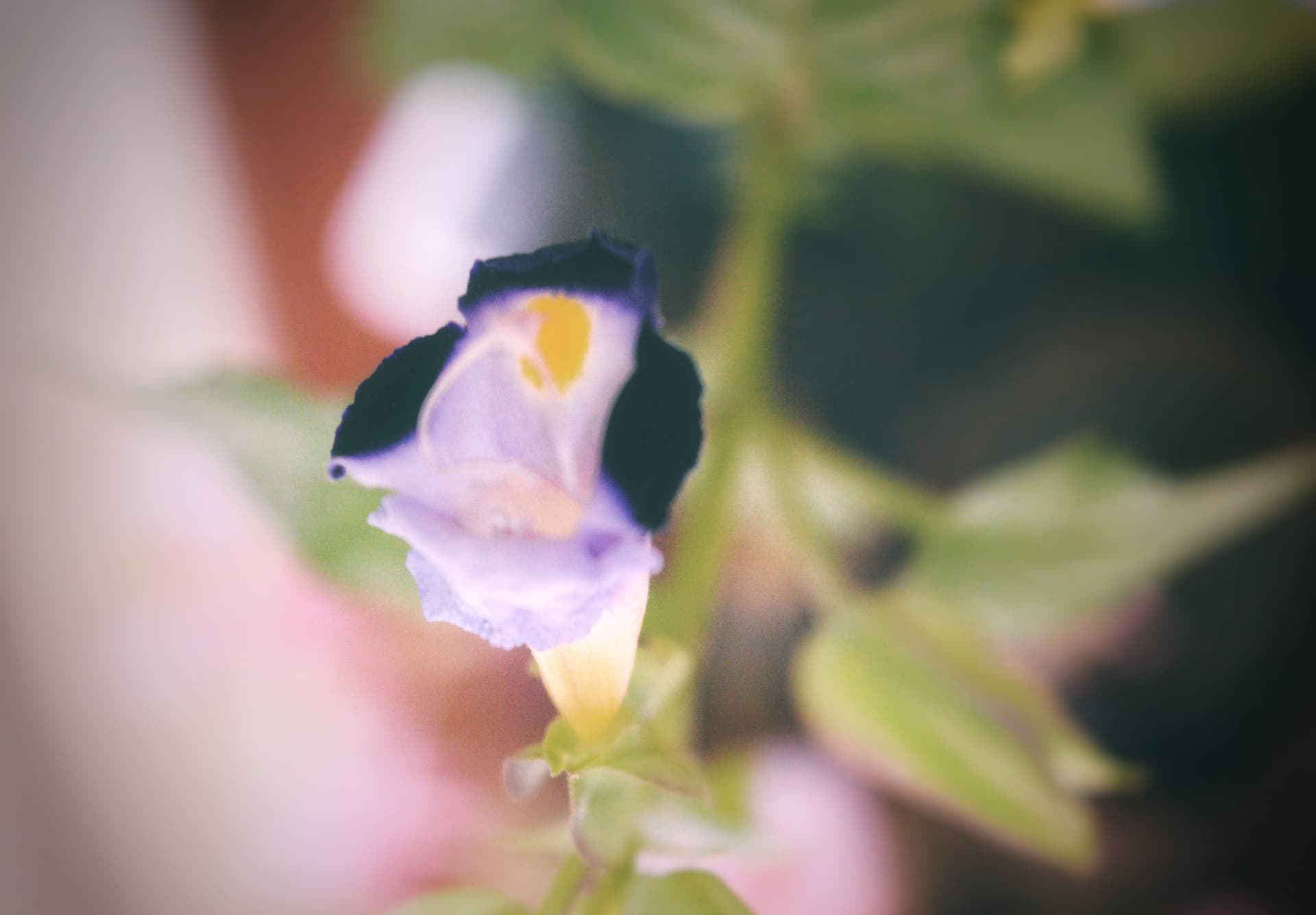 985ced69-9dec-40ff-b3bb-955b5ad747b0_rw_3840