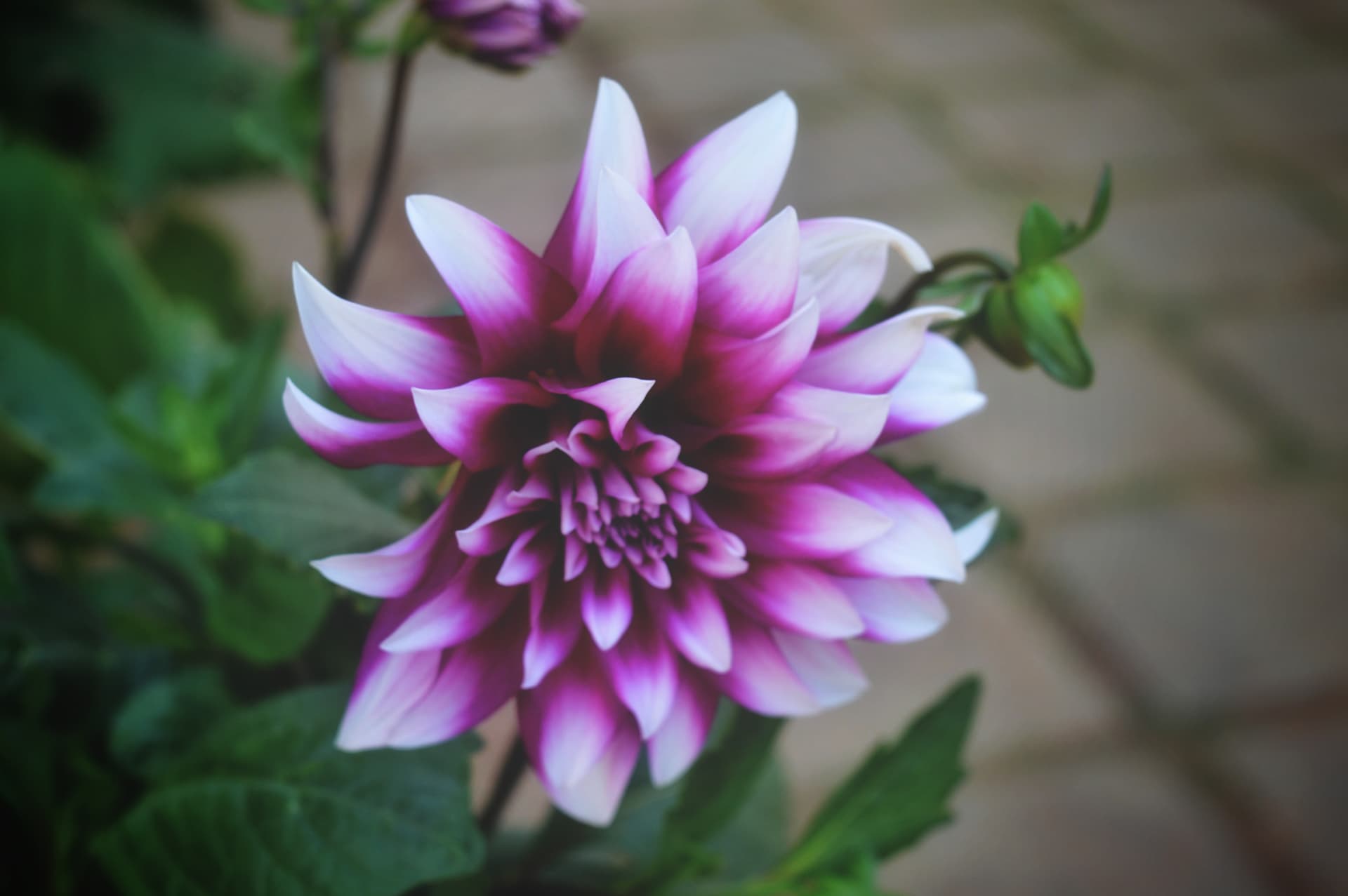 99f53504-377b-4767-9089-b4cf757f11c0_rw_3840