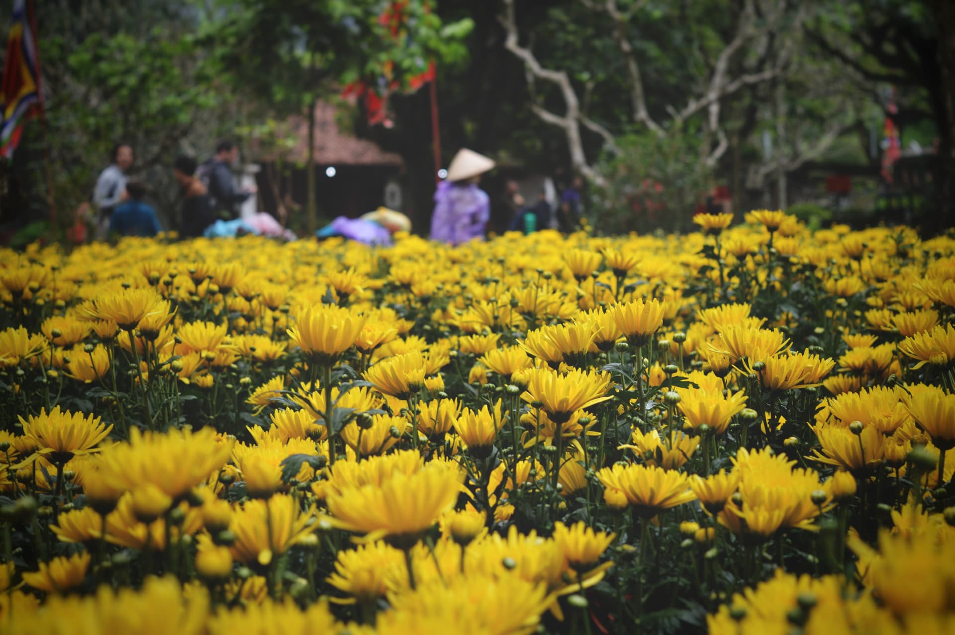 a7414033-8d34-4fef-acc0-6804cb7ed5e5_rw_3840