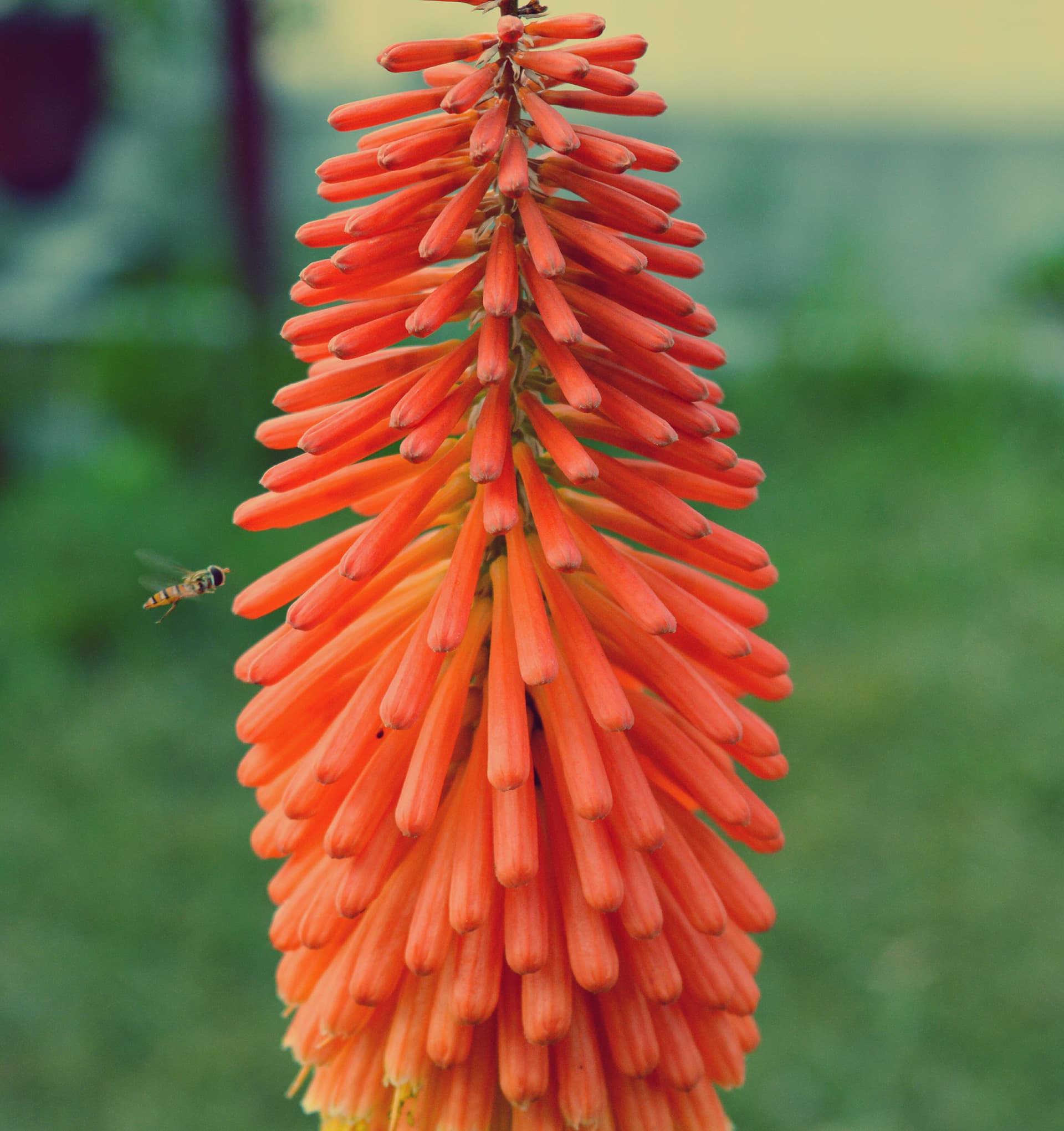 b00ce872-88b8-4496-91d9-ea1934ad2905_rw_1920