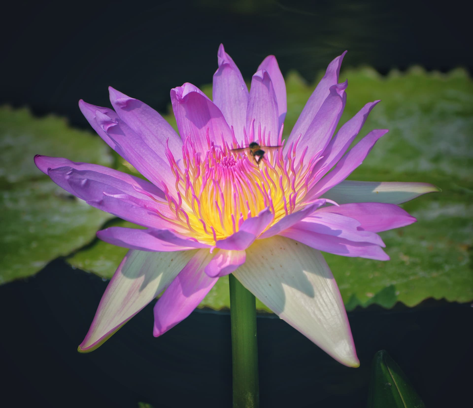 c4ad27bb-81ad-4aac-ba2f-7ea9d3c09dda_rw_3840