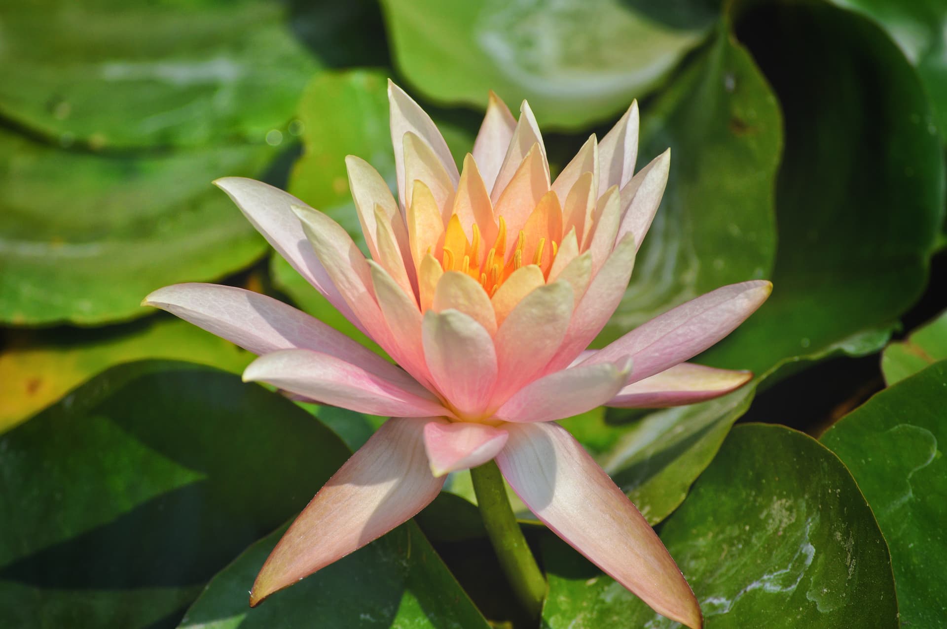 c4c0d1b7-7cd8-4492-8a23-d4b0d17b28c6_rw_3840