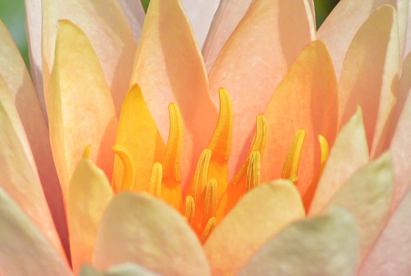 c68e5ceb-2d68-4e7d-8db2-64768cb04069_rw_1920