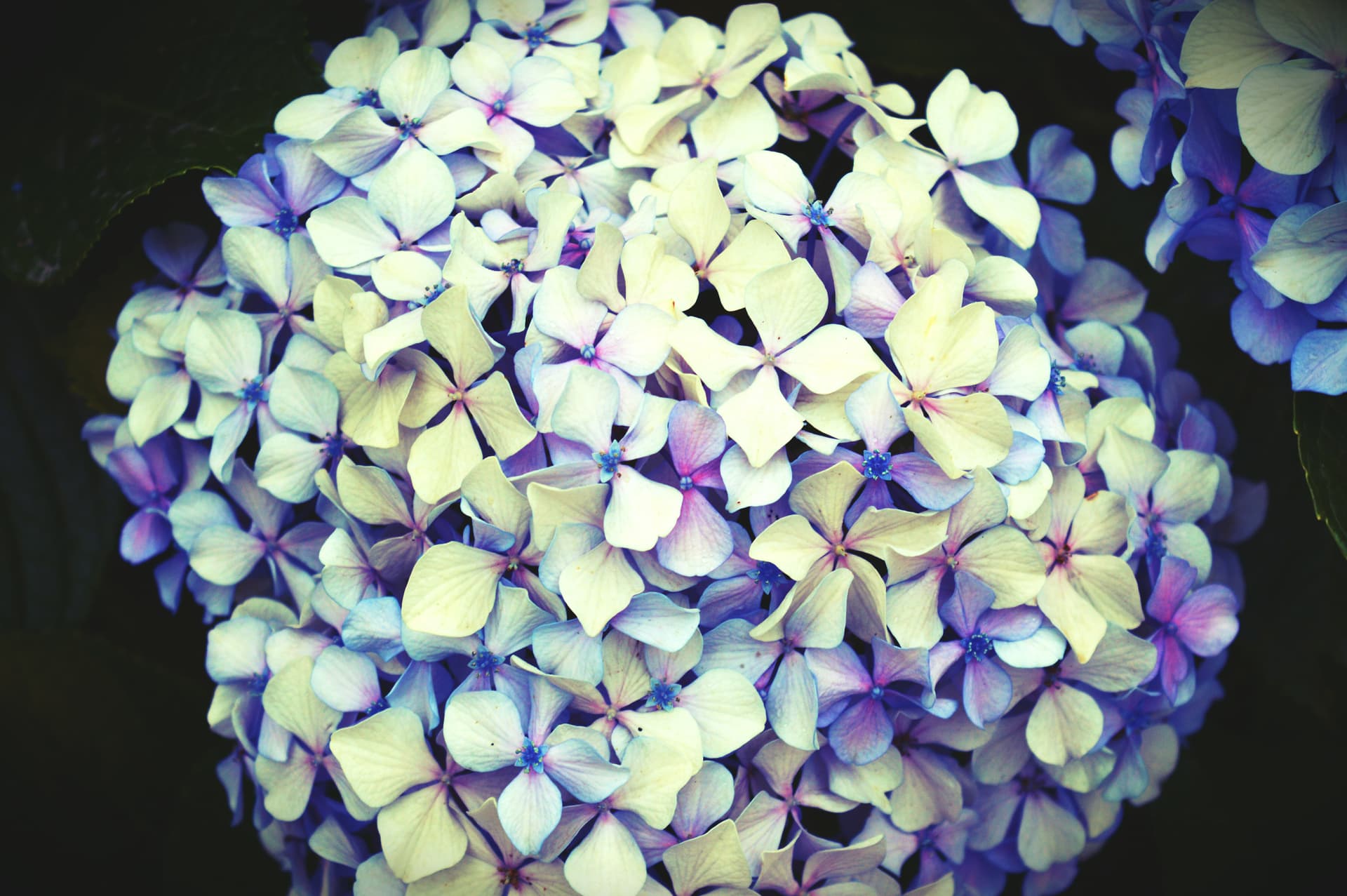 d2c8468a-16eb-4e0c-b27a-7b728b0001ff_rw_3840