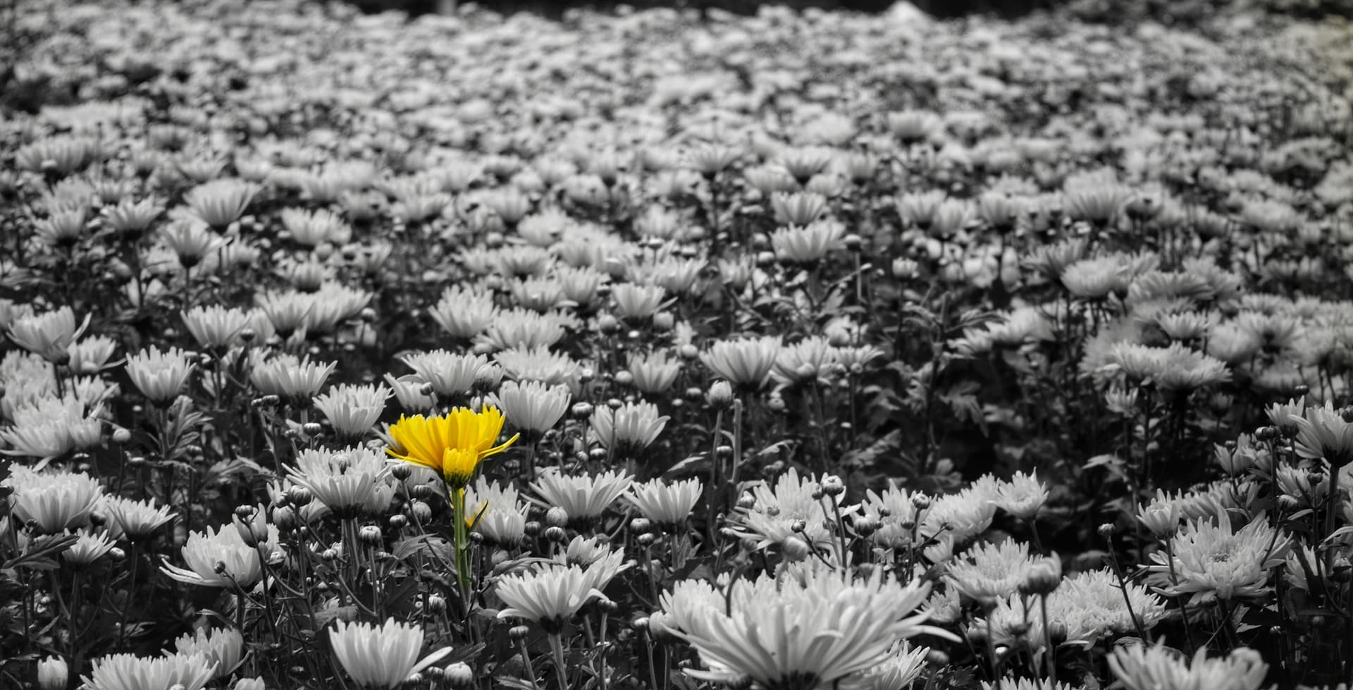 e6e7983e-62aa-4562-9916-ffb5512cffad_rw_3840