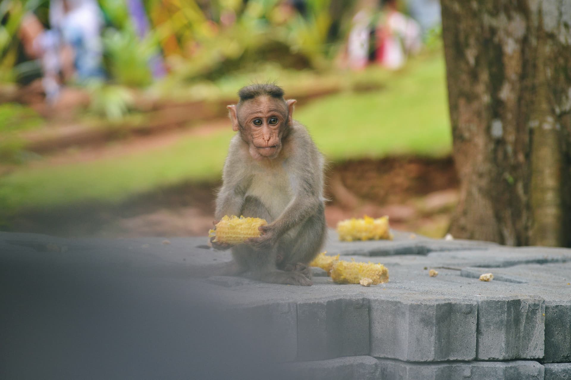 10e63fad-63df-4647-b346-65db8e0acfa8_rw_3840