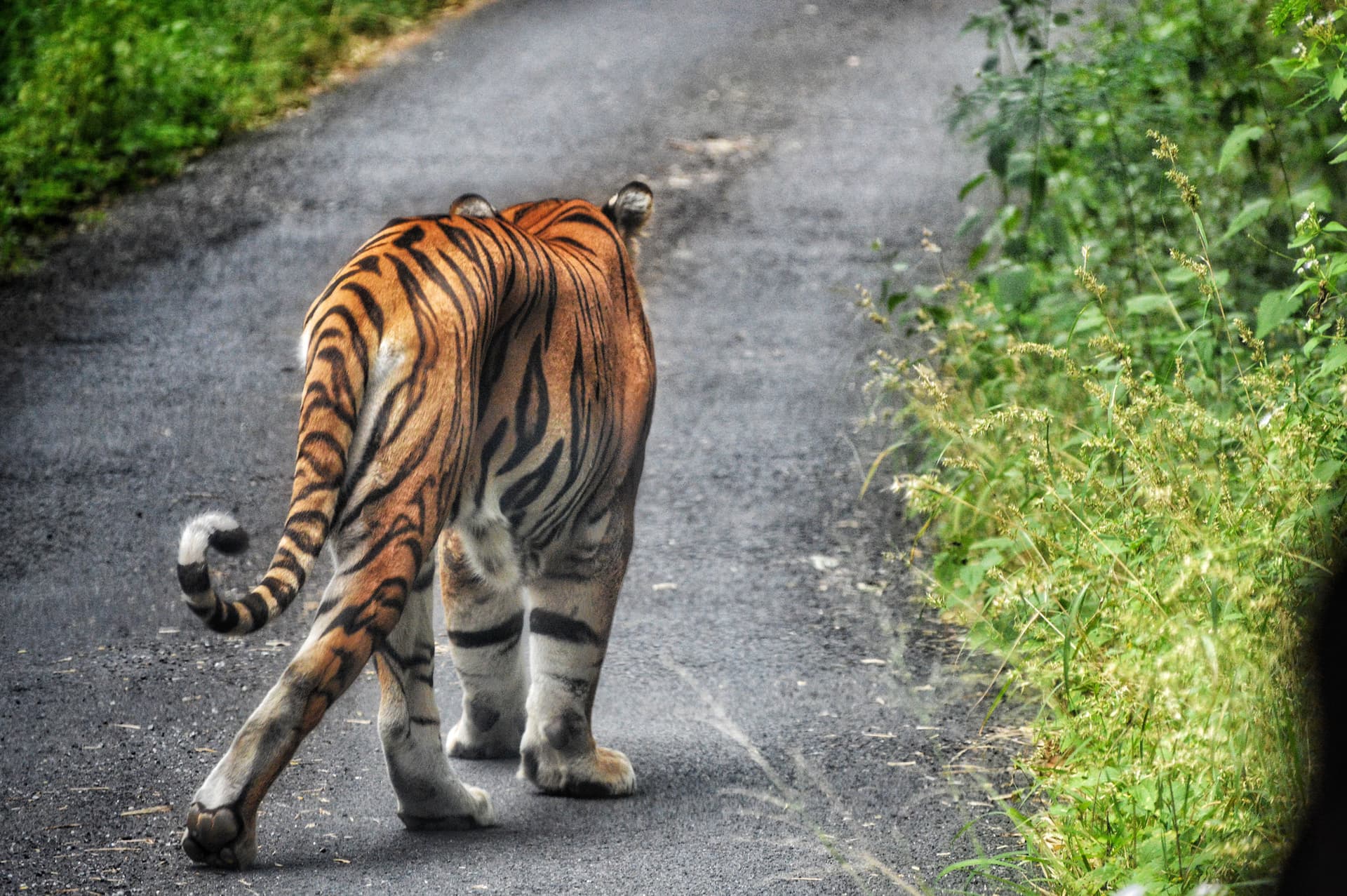 259a9272-ee47-41de-8d75-785b57b9efdd_rw_3840