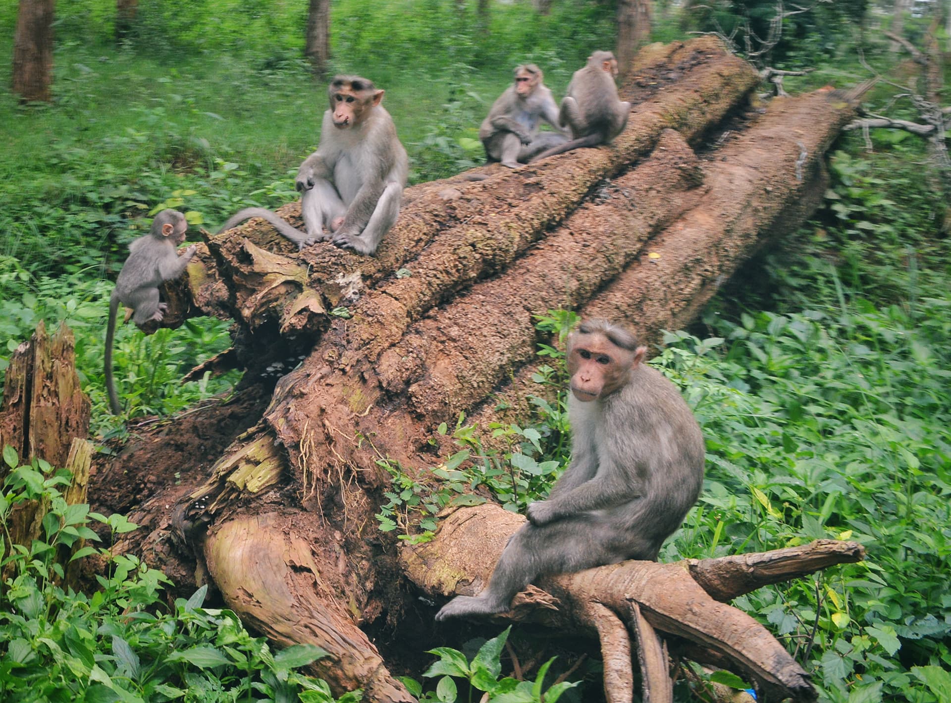 3254d589-b176-414a-8fe2-b4b8ef13a7d5_rw_1920