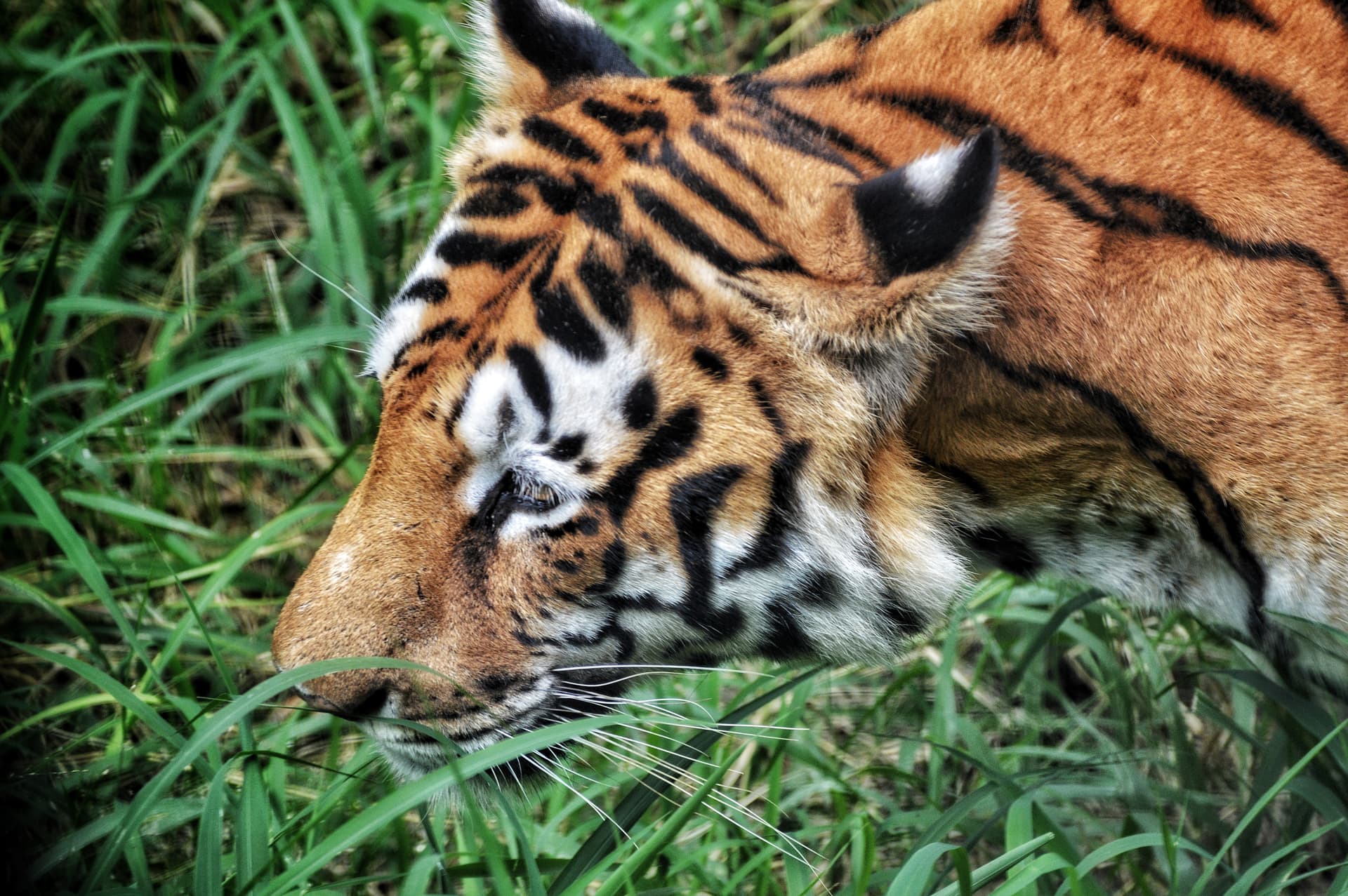 4d541f5b-480b-4a2b-a8c2-fea0309f3b2d_rw_3840