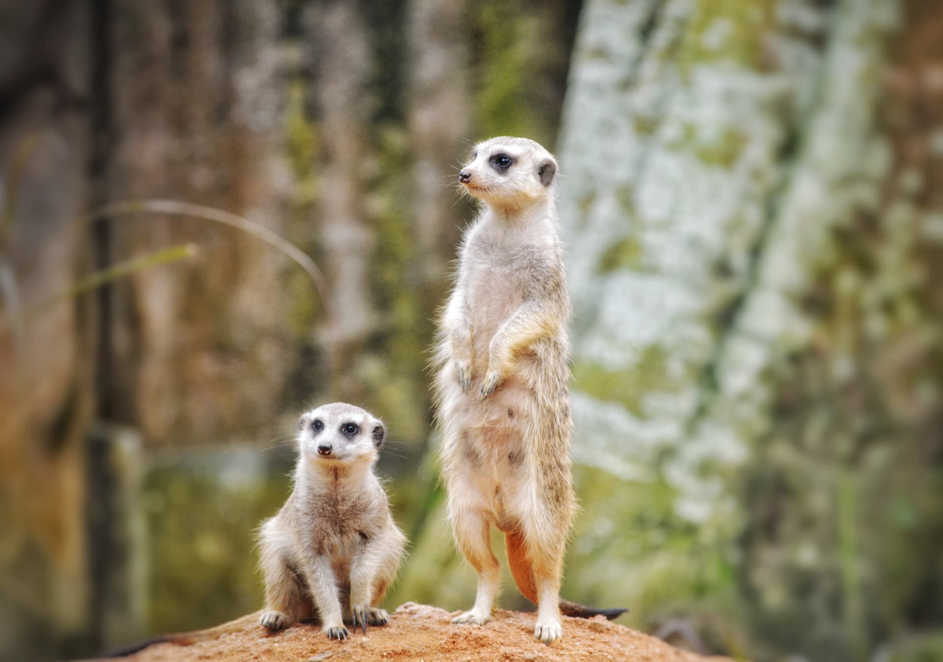 5750e799-7448-4b0c-9218-b68e56433d54_rw_3840