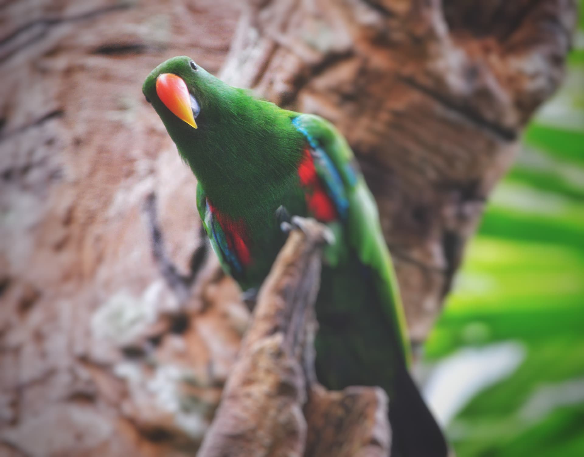 5b5398fd-2e63-4090-aa78-bc14e5e6c319_rw_3840