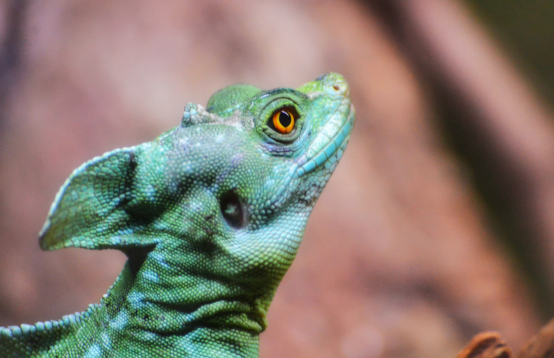 600c5a75-4037-41b7-8c1b-d88eb5c40f3a_rw_3840