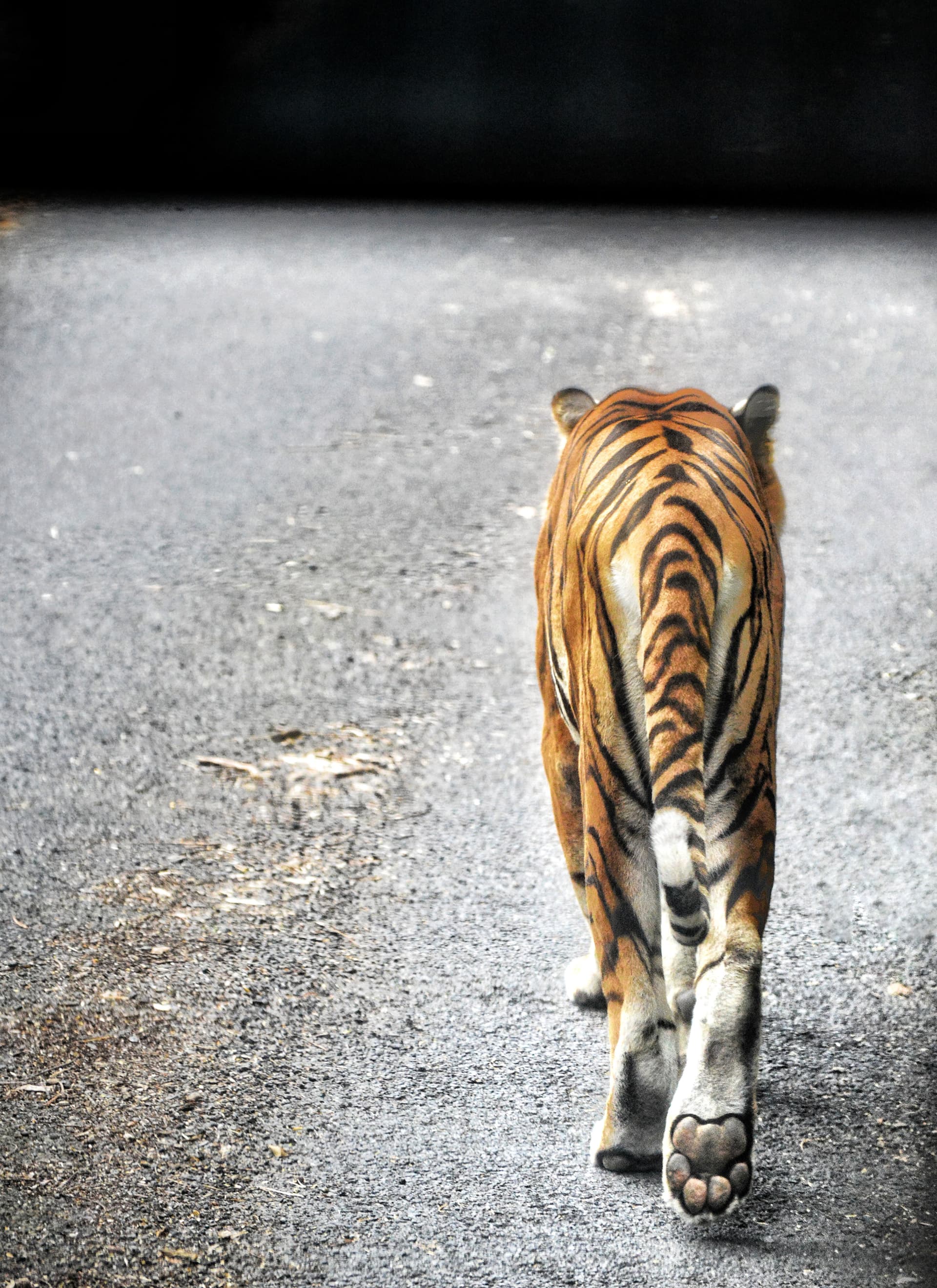 71728f0a-4ebd-4069-9563-5c7ba7ef5ae5_rw_3840