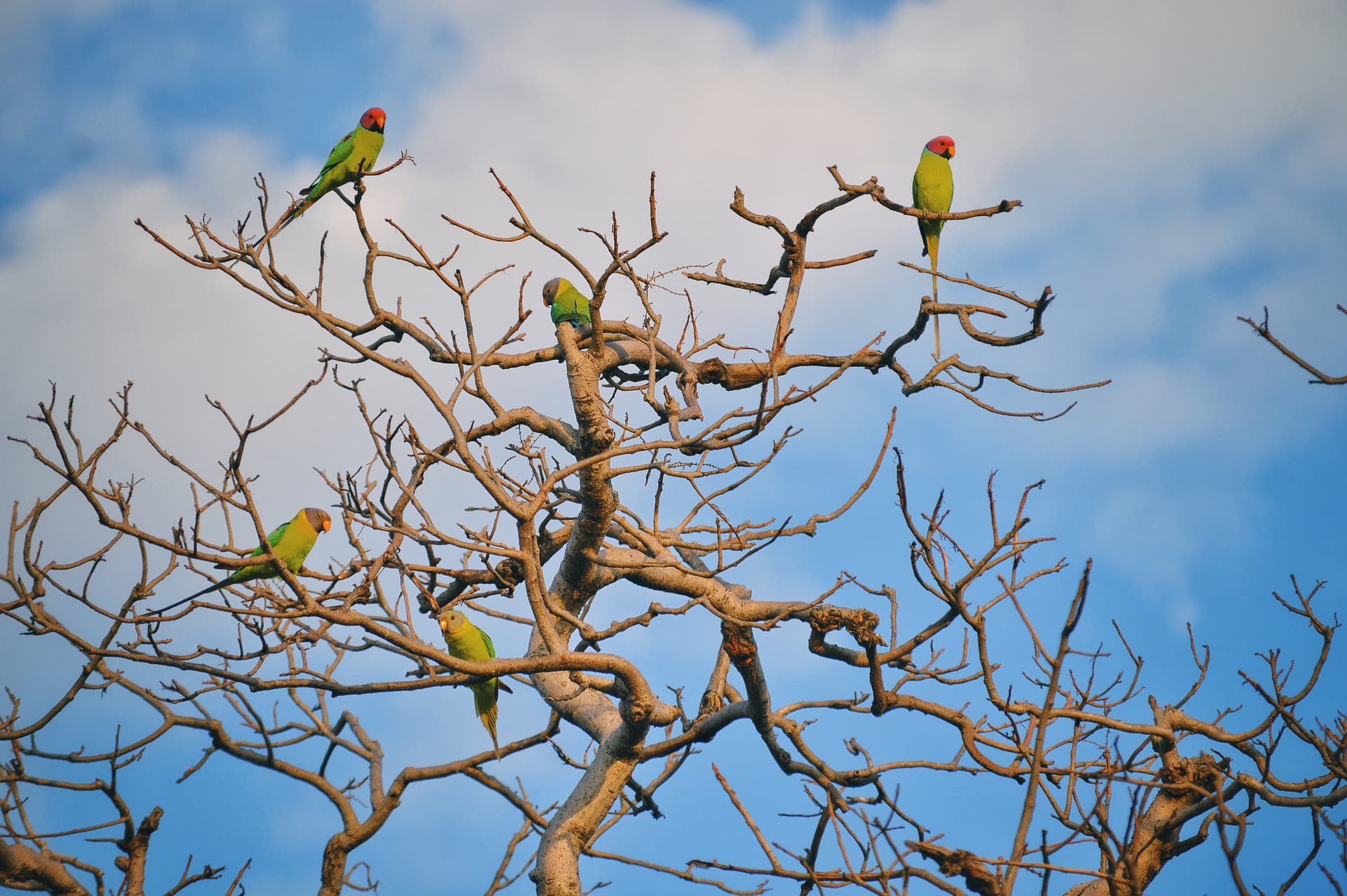 7693c78d-997e-4f94-85e0-992a9e48bd2b_rw_3840