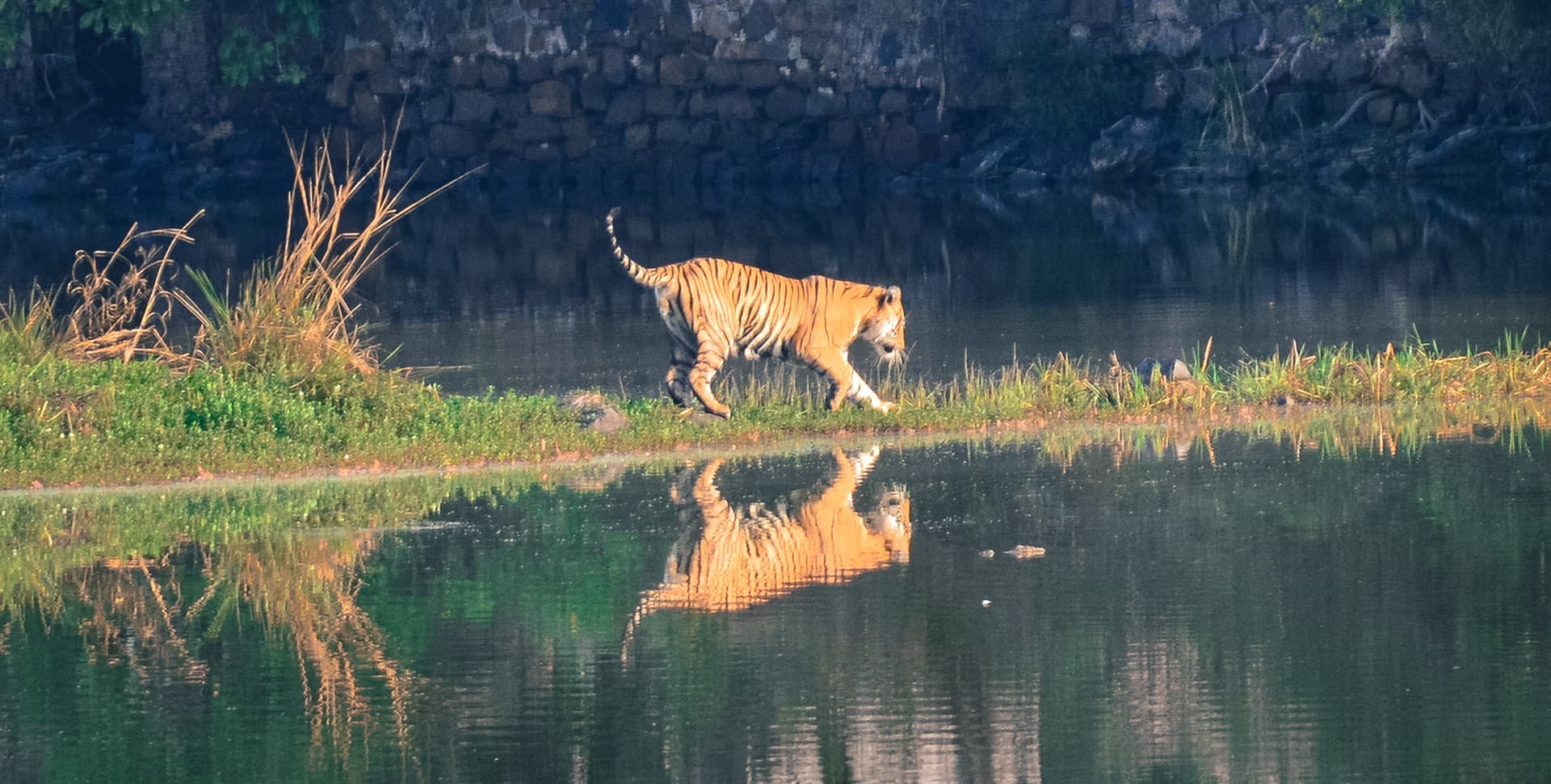 7ddca397-9e60-43b4-b659-74a135b9b0f3_rw_1920