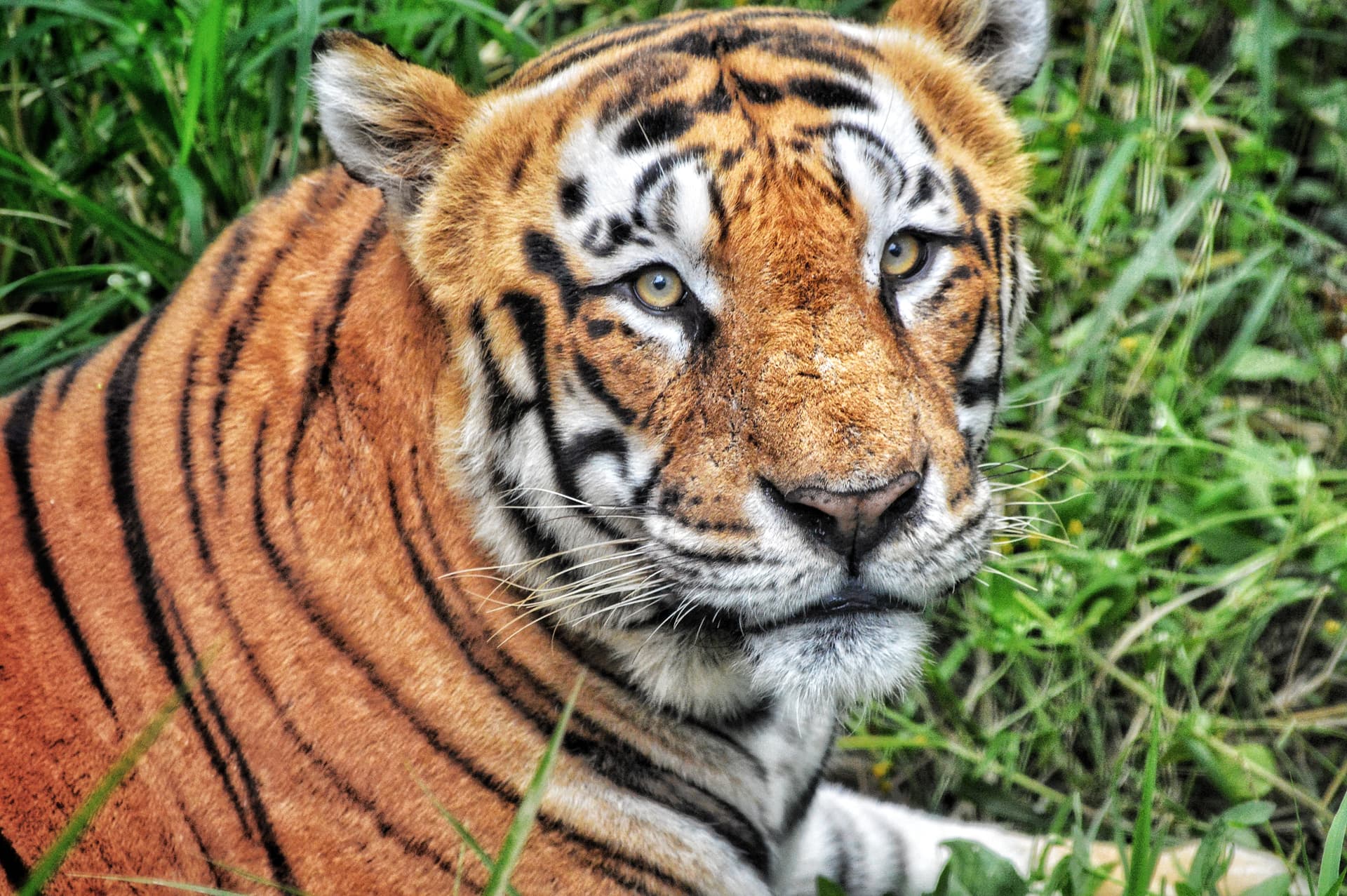 8055347b-4ee9-41c9-a079-e19ba27e3bff_rw_3840