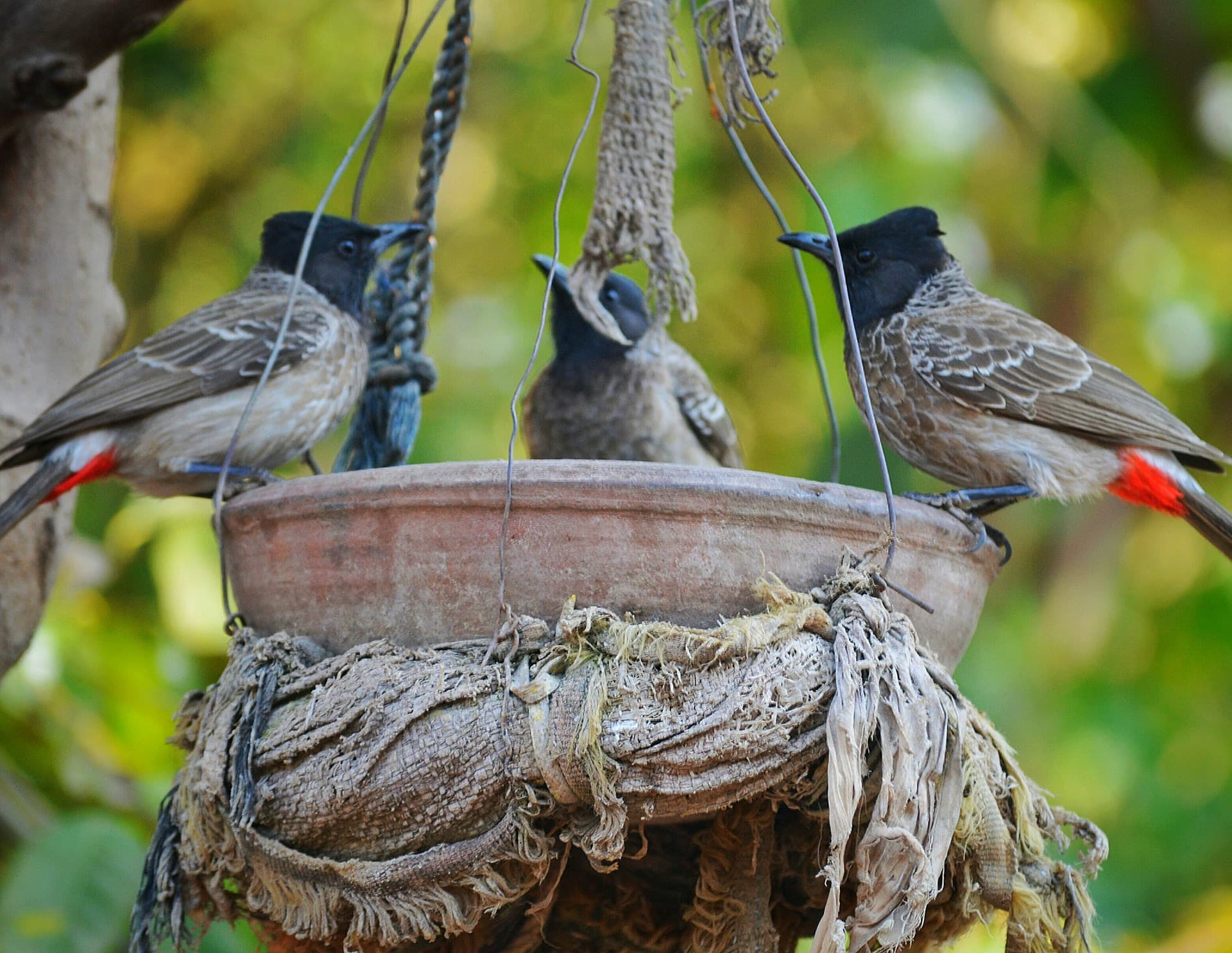 8e998e50-c392-4ebd-a9d8-598041c44073_rw_1920