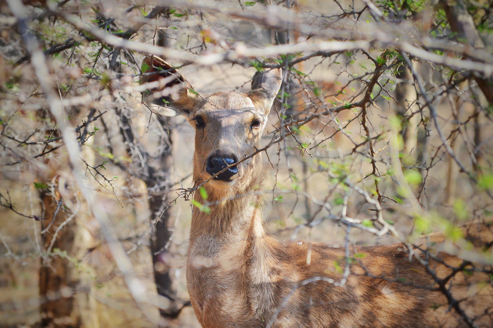 9f790524-df76-4184-9c8b-4feed8d813f2_rw_3840