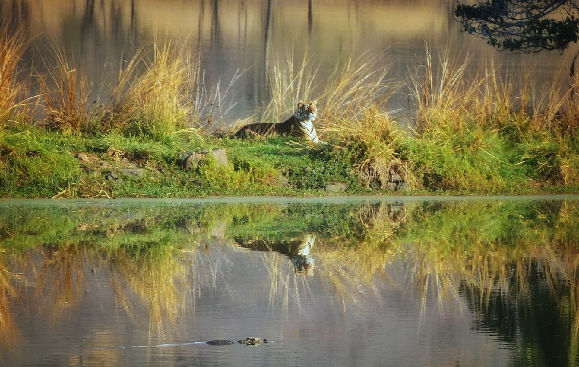 bfdcfc45-0719-4c23-a656-092bc88b6d7e_rw_1920