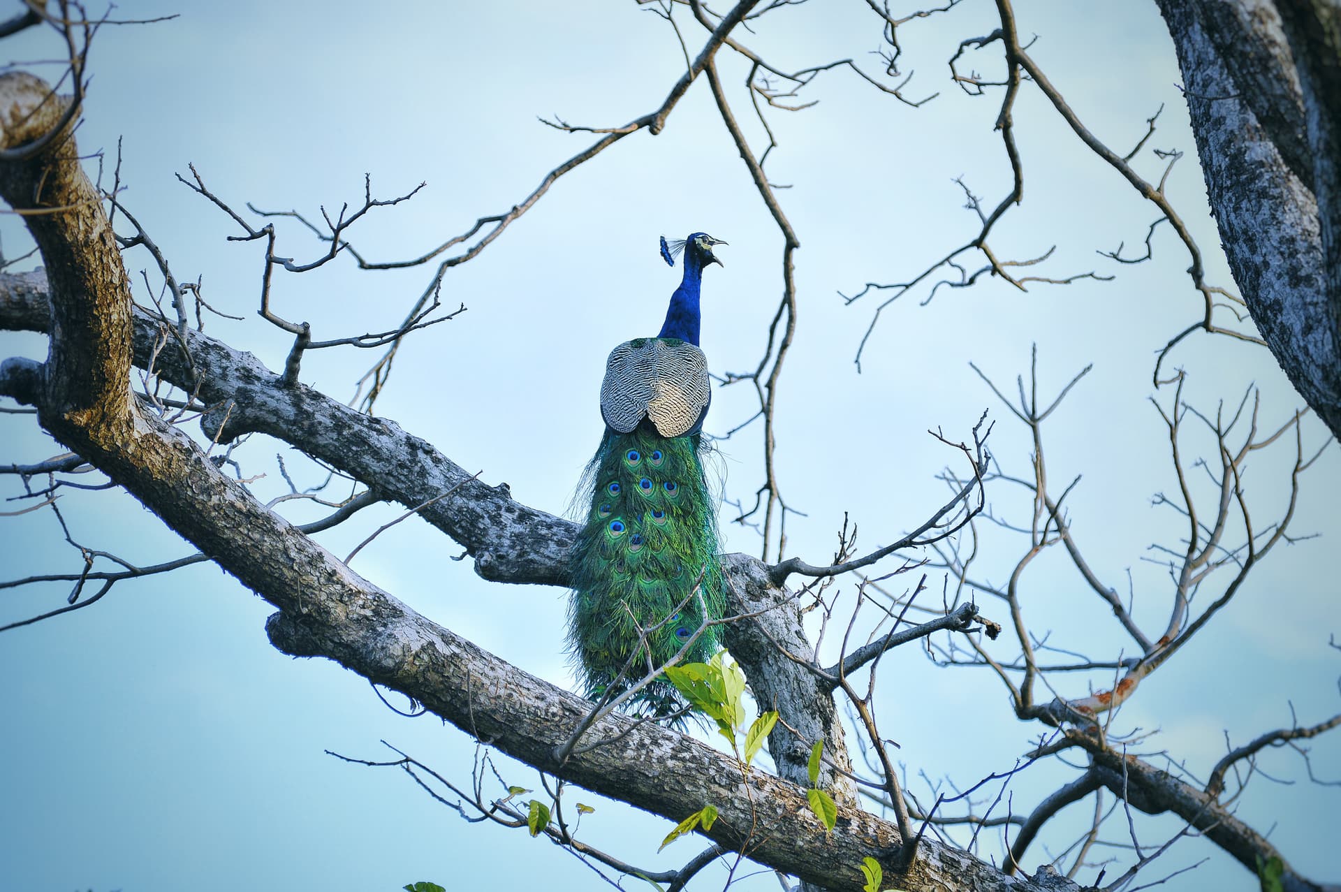 f1364885-1f12-4e46-87b3-fe0e331d6c2d_rw_3840